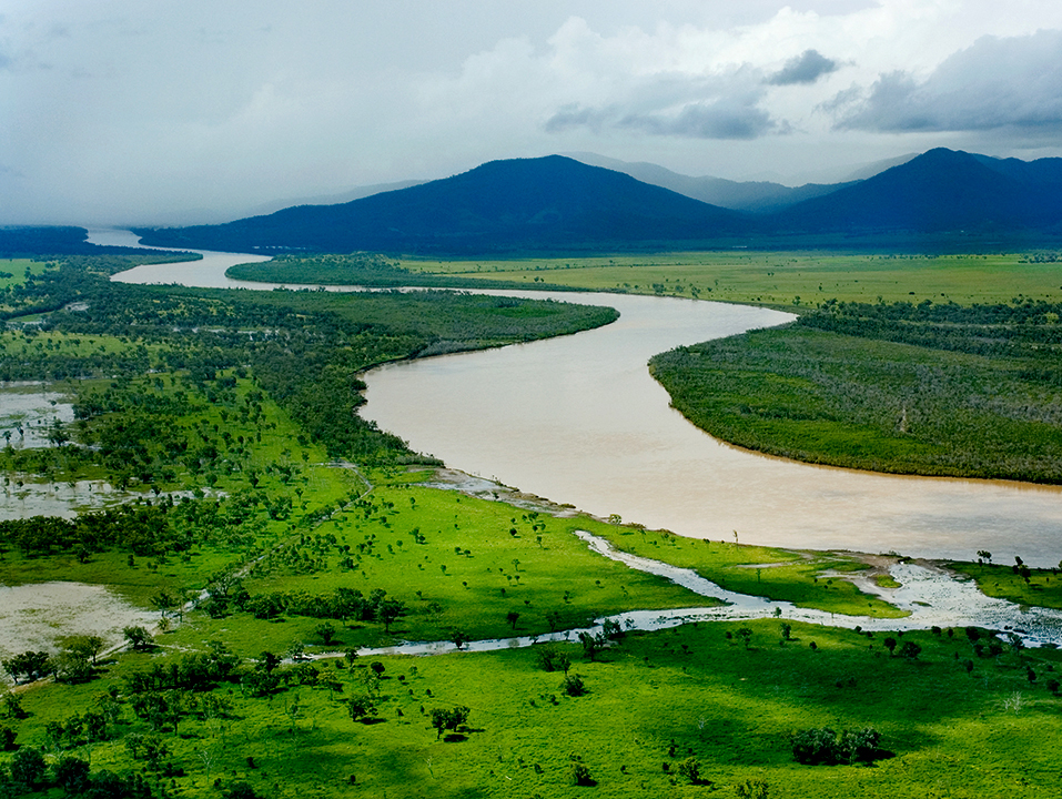 Fitzroy river